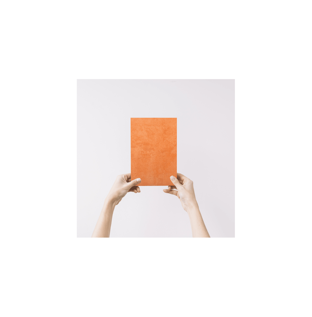 Echantillon Terracotta Fleur de Chaux