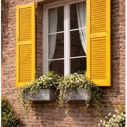 Immortelle Peinture Color'Plein Air