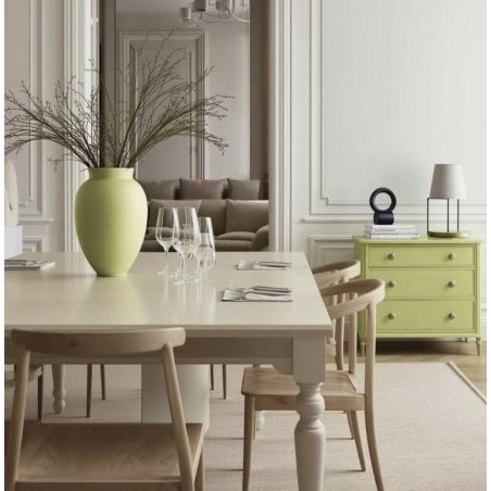 Verveine Peinture Color'Instant