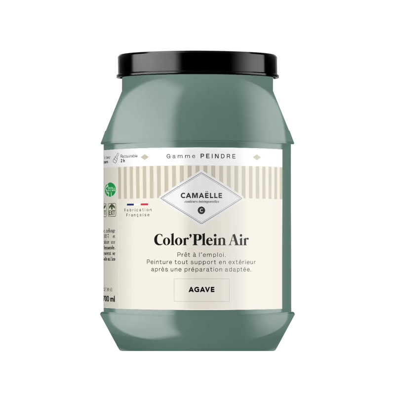 Agave Peinture Color'Plein Air
