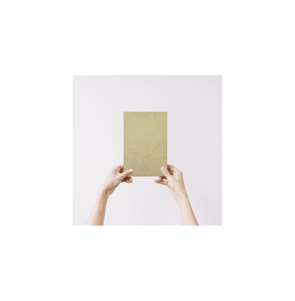 Echantillon Grigio Verdi Fleur de Chaux