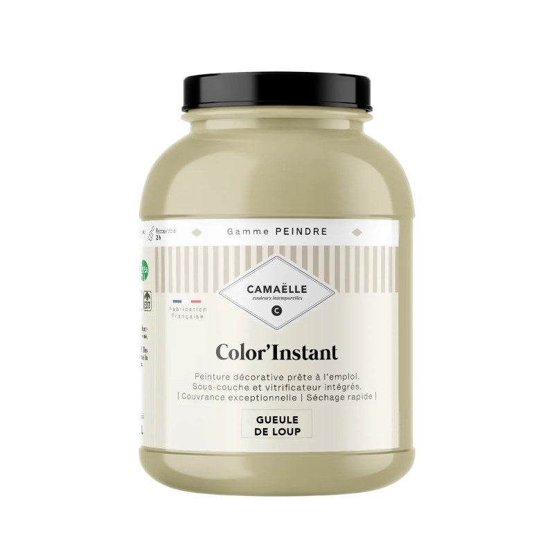 Gueule de loup Peinture Color'Instant