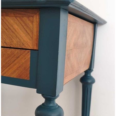 Agapanthe Peinture Color'Instant