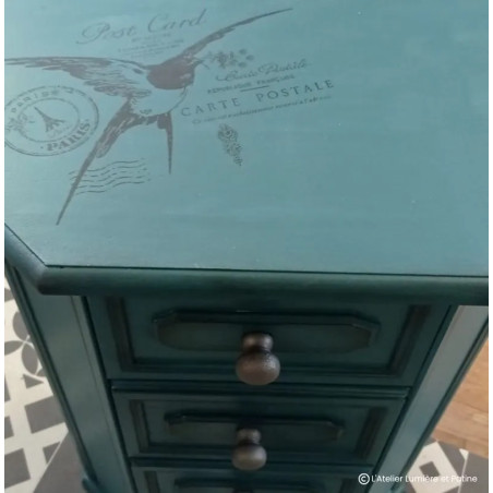 Clematite Peinture Color'Instant