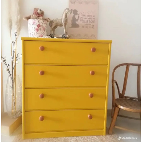 Genet Peinture Color'Instant