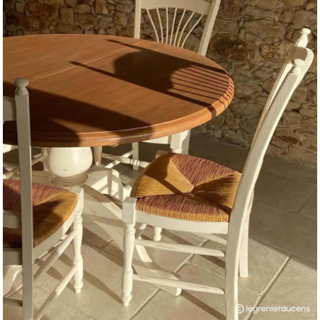 Neige Peinture Color'Instant