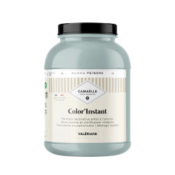 Valériane Peinture Color'Instant