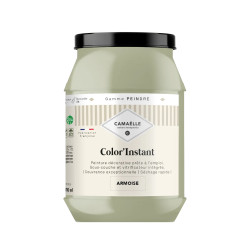 Armoise Peinture Color'Instant