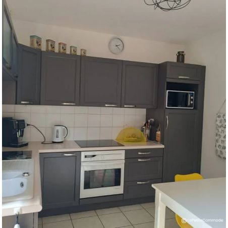 Cachemire Peinture Color'Instant