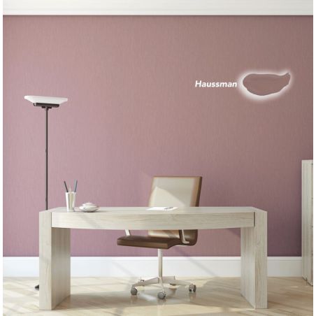 Haussman Peinture Intérieure