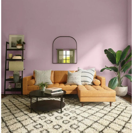 Boudoir Peinture intérieure