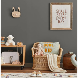 Cachemire Peinture Intérieure