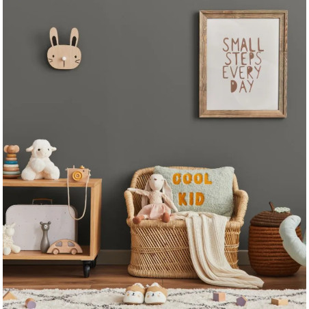 Cachemire Peinture Intérieure