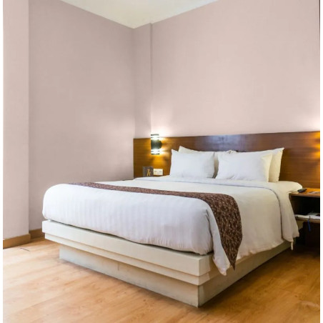 Camée Peinture Intérieure