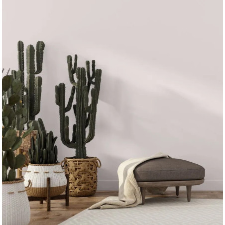 Céleste Peinture Intérieure