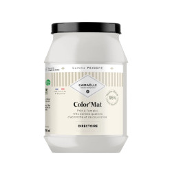 Directoire Peinture Intérieure