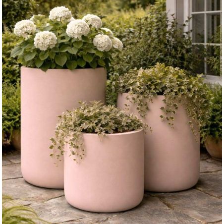 Bouton de rose Peinture Color'Plein Air