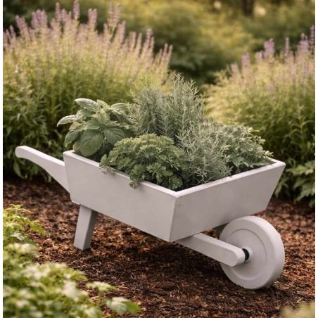 Céleste Peinture Color'Plein Air