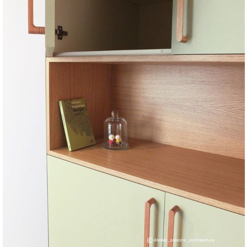 Gueule de loup Peinture Color'Instant