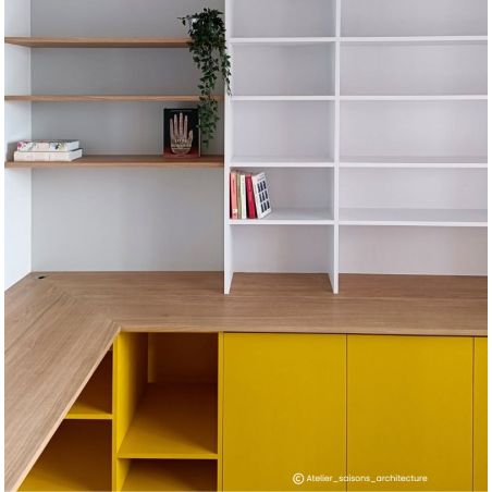 Ambre Peinture Color'Instant