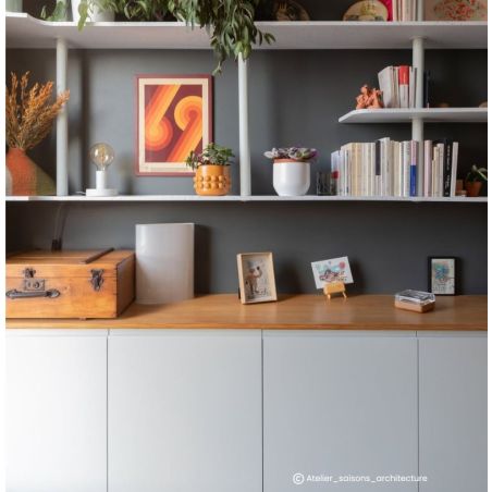 Eucalyptus Peinture Color'Instant