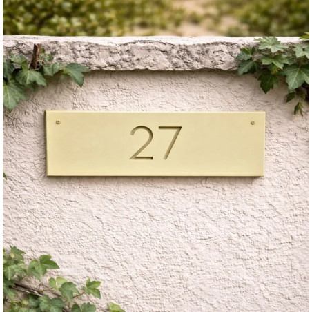 Cosmos Peinture Color'Plein Air