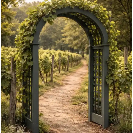 Dypsis Peinture Color'Plein Air