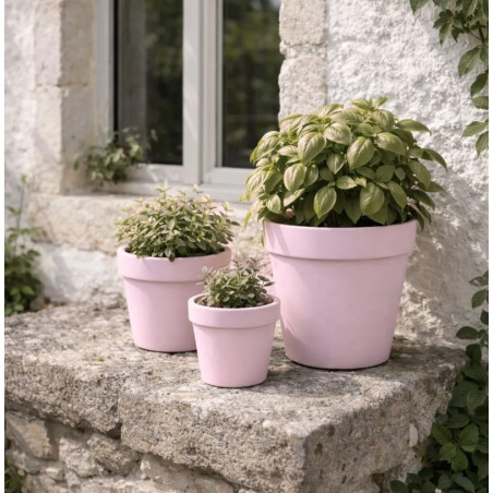 Eglantine Peinture Color'Plein Air