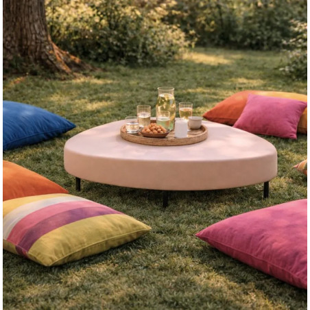 Saponaire Peinture Color'Plein Air