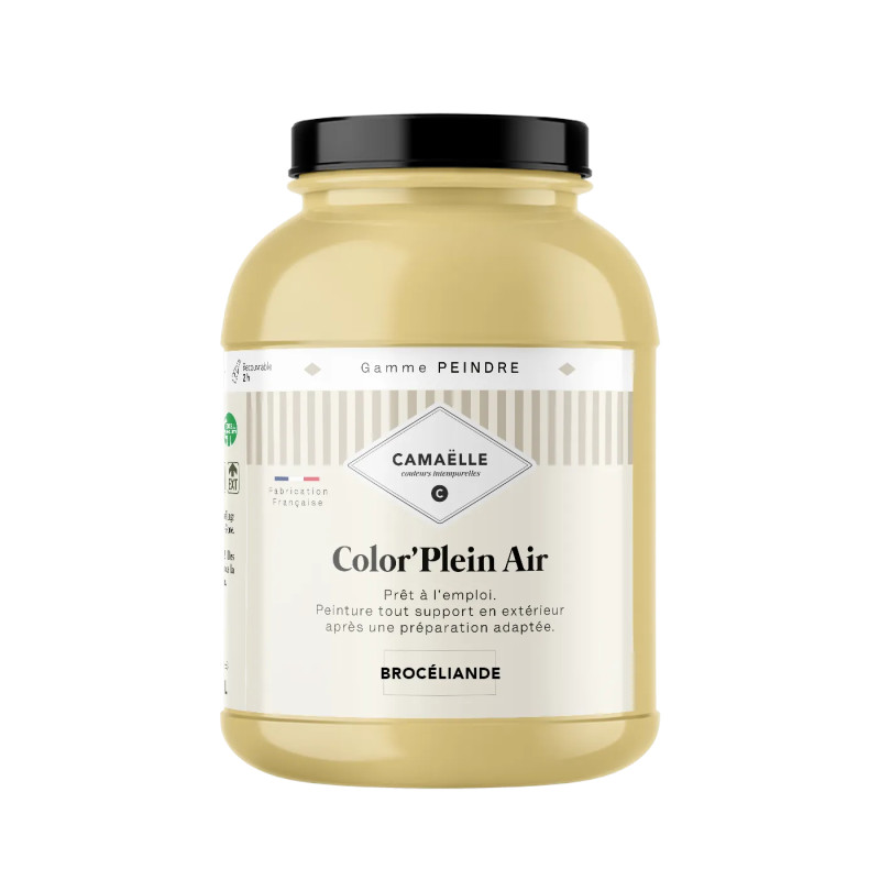 Brocéliande Peinture Color'Plein Air