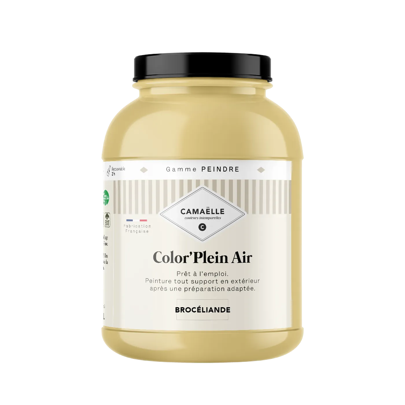 Brocéliande Peinture Color'Plein Air