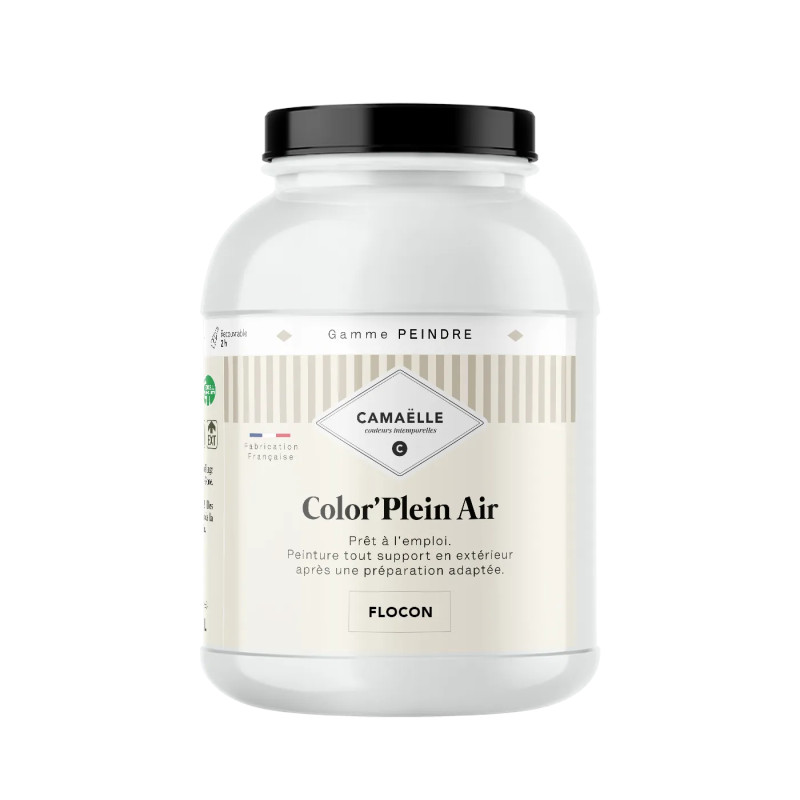 Flocon Peinture Color'Plein Air