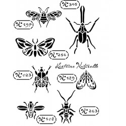 Pochoir Histoire Naturelle