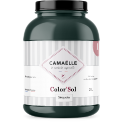 Peinture Color'Sol Sequoia