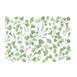 Transfert à sec – Ginkgos