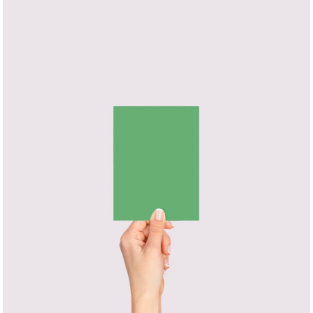 Matcha Echantillon Peinture Extérieure