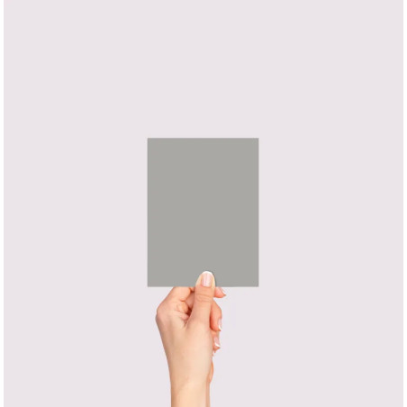 Schiste Echantillon Peinture Extérieure