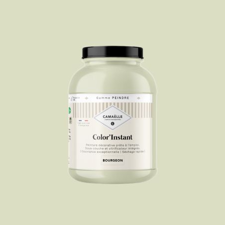 Bourgeon Peinture tout-en-un Color'Instant 2L
