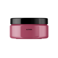 Althea Peinture Color'Sol 100 ml