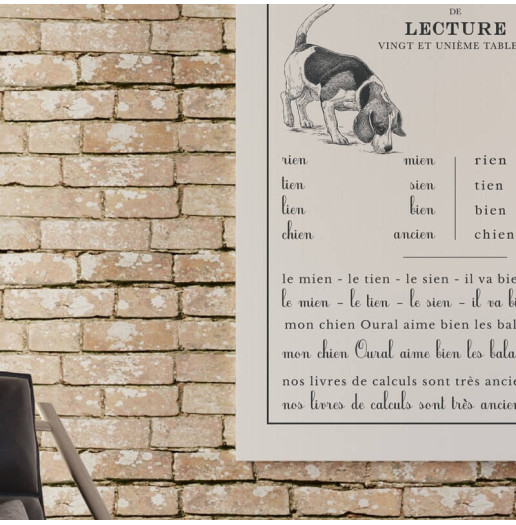 Transfert Lesson de lecture