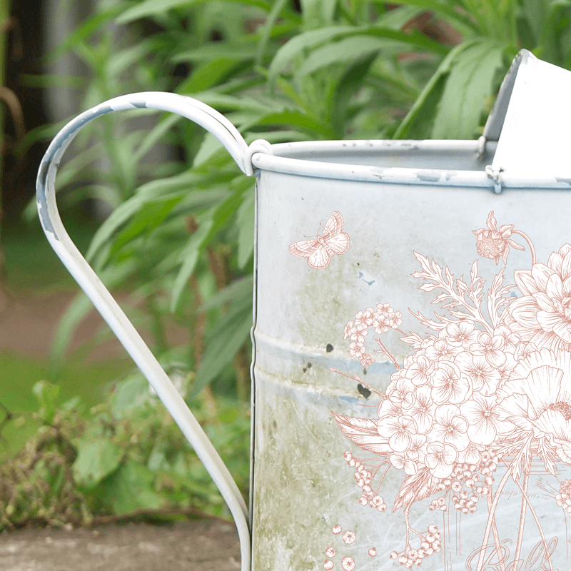 Transfert Ã  sec - Mason Vieux Rose