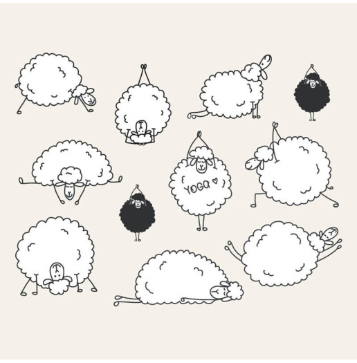 Transfert Ã  sec - Mouton & Yoga