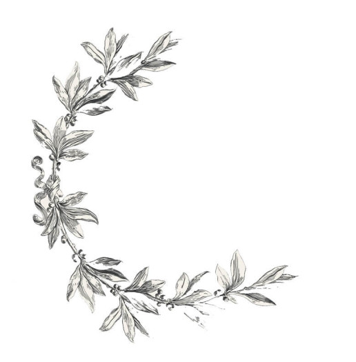 Transfert Ã  sec - NumÃ©ros Vintage