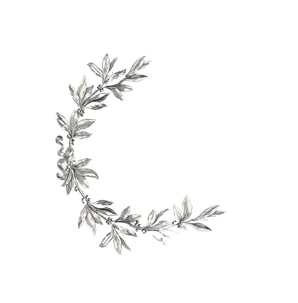 Transfert Ã  sec - NumÃ©ros Vintage