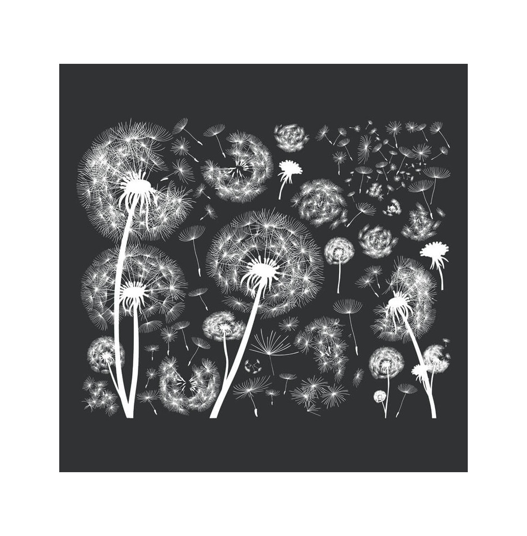 Transfert Ã  sec - Pissenlits blancs
