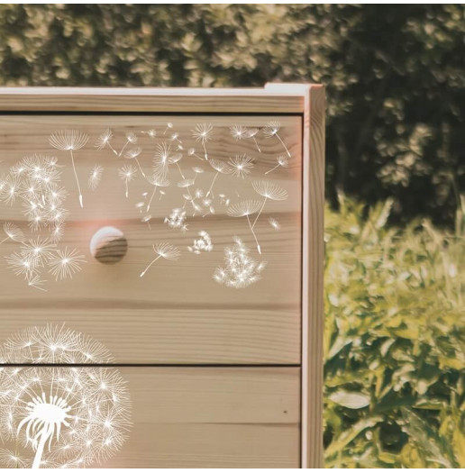 Transfert Ã  sec - Pissenlits blancs