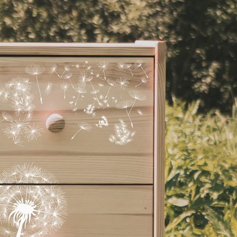 Transfert Ã  sec - Pissenlits blancs