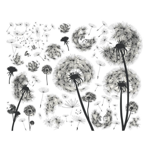 Transfert Ã  sec - Pissenlits blancs