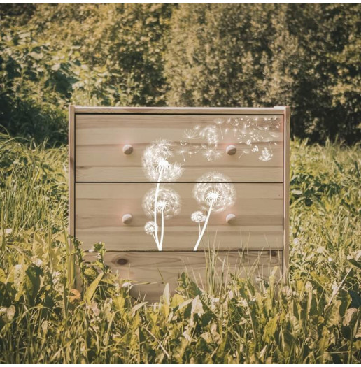 Transfert Ã  sec - Pissenlits blancs