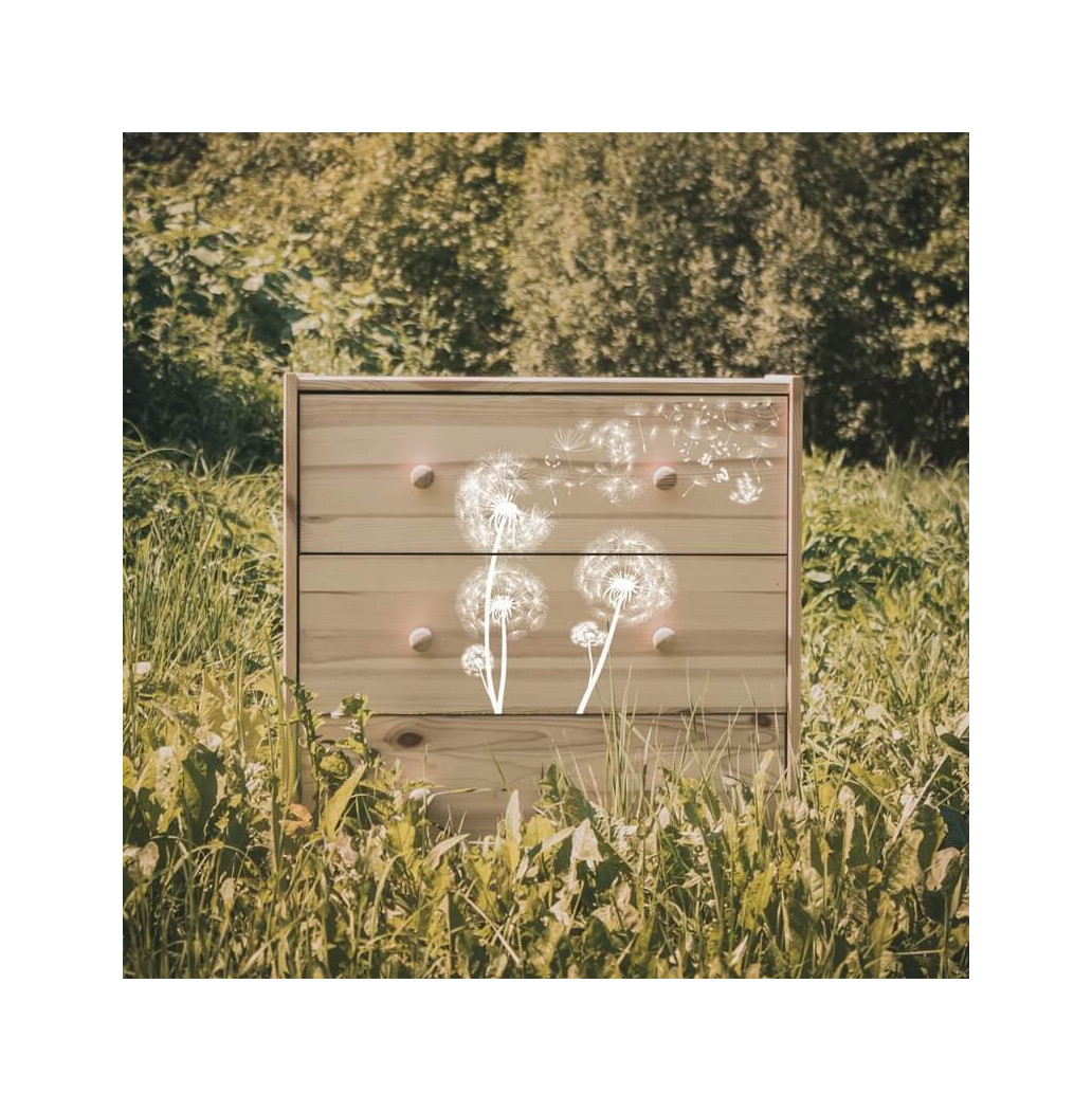 Transfert Ã  sec - Pissenlits blancs